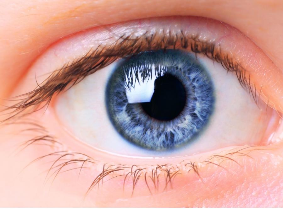 zanimljive činjenice o ljudskom oku